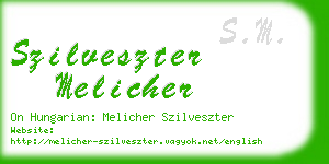 szilveszter melicher business card